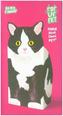 Black & White Cat