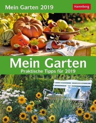 Mein Garten 2019