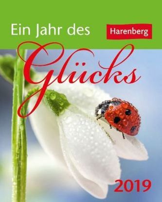 Ein Jahr des Glücks 2019