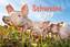 Schweine 2019