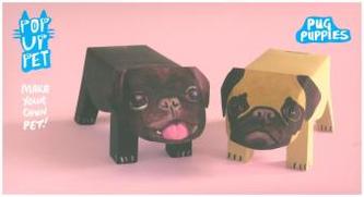 Pug Puppies