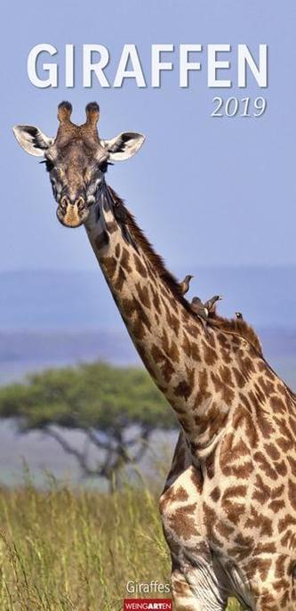 Giraffen 2019