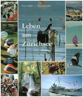 Leben am Zürichsee