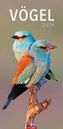 Vögel 2019
