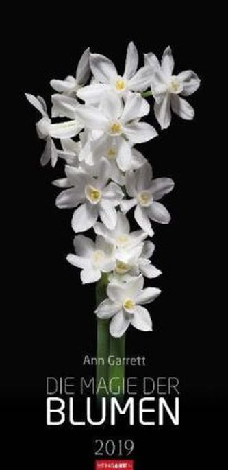 Die Magie der Blumen 2019