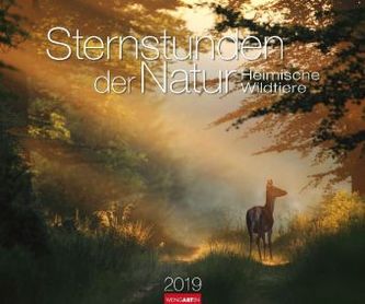 Sternstunden der Natur 2019