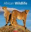 African Wildlife 2019