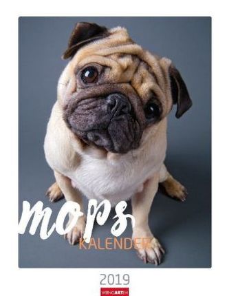 Mops 2019