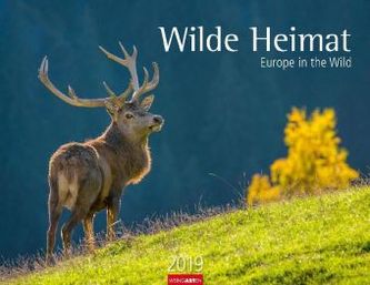 Wilde Heimat 2019