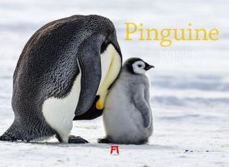 Pinguine 2019