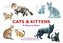 Cats & Kittens