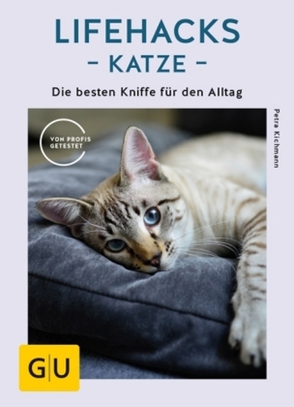 Lifehacks Katze