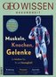 Muskeln, Knochen, Gelenke