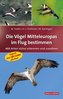 Die Vögel Mitteleuropas im Flug bestimmen
