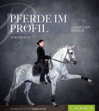 Pferde im Profil
