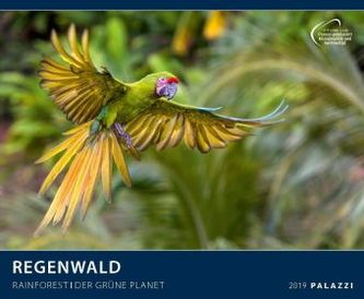 Regenwald 2019