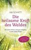 Die heilsame Kraft des Waldes