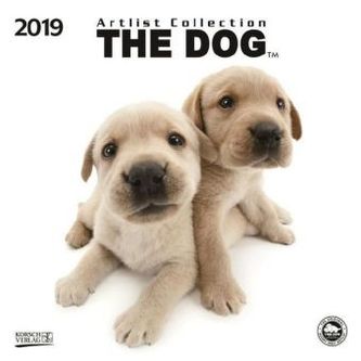 The Dog 2019