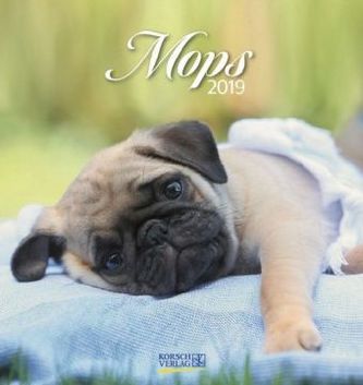 Mops 2019