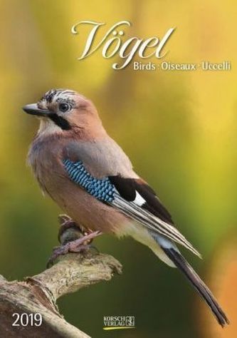 Vögel 2019