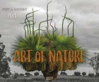 Art of Nature 2019