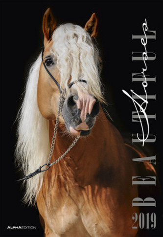 Beautiful Horses 2019 Beautiful Horses 2019