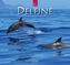 Delfine 2019