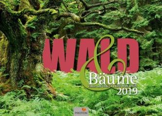 Wald & Bäume 2019