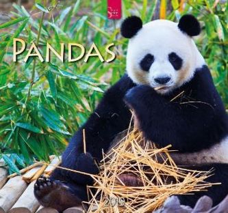 Pandas 2019