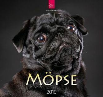 Möpse 2019