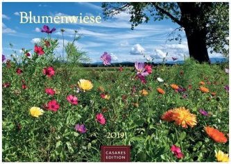 Blumenwiese 2019