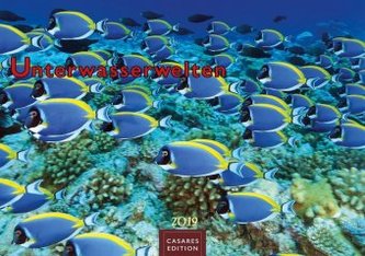 Unterwasserwelten 2019