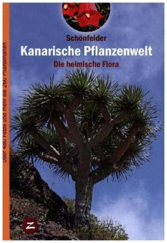 Kanarische Pflanzenwelt