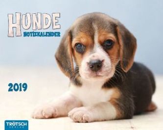 Hunde. Notizkalender 2019