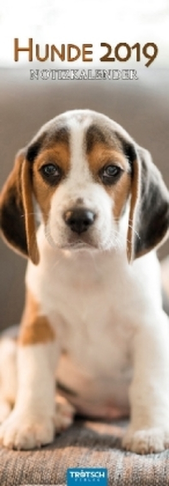 Hunde, Notizkalender 2019
