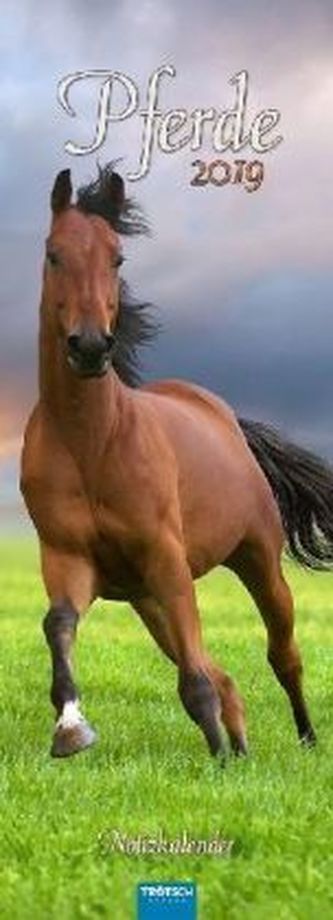 Pferde Notizkalender 2019