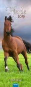 Pferde Notizkalender 2019