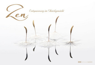 Zen 2019