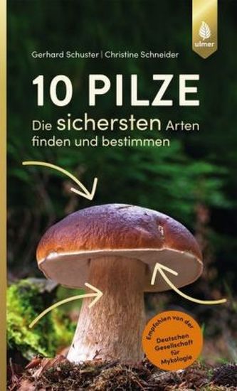 10 Pilze 10 Pilze