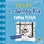 Diary of a Wimpy Kid , Cabin Fever, Audio-CD
