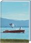 Quint Buchholz Kalenderbuch A6 2019