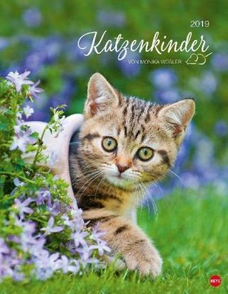 Katzenkinder Posterkalender 2019