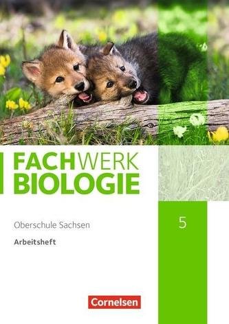 5. Schuljahr - Arbeitsheft
