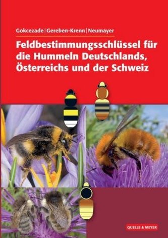Feldbestimmungsschlüssel für die Hummeln Deutschlands, Österreichs und der Schweiz