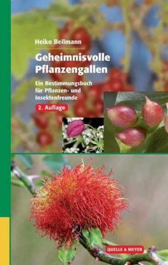 Geheimnisvolle Pflanzengallen