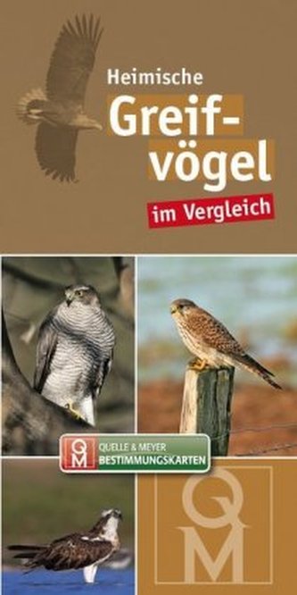 Greifvögel, Bestimmungskarten