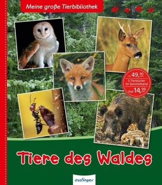 Tiere des Waldes Tiere des Waldes