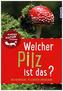 Welcher Pilz ist das?