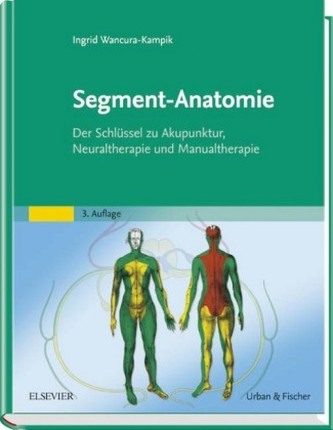Segment-Anatomie Segment-Anatomie
