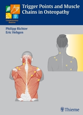 Trigger Points and Muscle